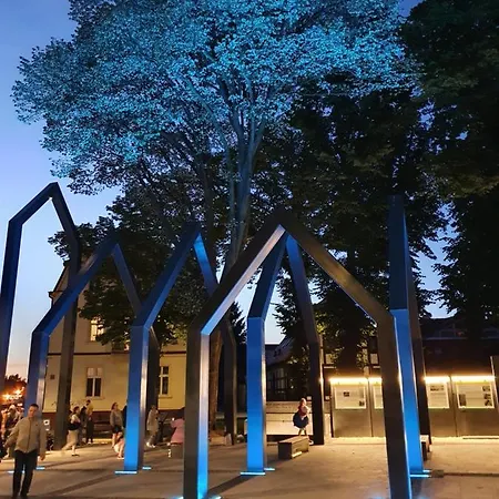 Wakacyjny Ines -ustka-na Wydmie,samodzielne Zameldowanie,garaz Do Dyspozycji Gosci