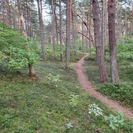 Wakacyjny Ines -ustka-na Wydmie,samodzielne Zameldowanie,garaz Do Dyspozycji Gosci 乌斯特卡