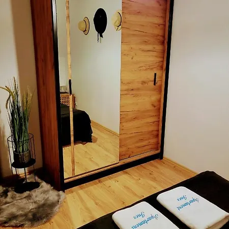 Wakacyjny Ines -ustka-na Wydmie,samodzielne Zameldowanie,garaz Do Dyspozycji Gosci Apartment Ustka