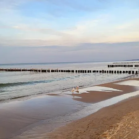 Wakacyjny Ines -ustka-na Wydmie,samodzielne Zameldowanie,garaz Do Dyspozycji Gosci 公寓 乌斯特卡