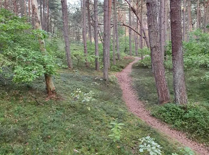Wakacyjny Ines Ustka